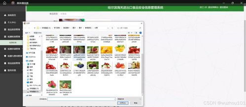 基于SSM與Vue的哈爾濱海關(guān)進出口食品安全信息管理系統(tǒng) 構(gòu)建互聯(lián)網(wǎng)數(shù)據(jù)服務(wù)新范式
